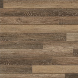 Sồi 1192 Atroguard